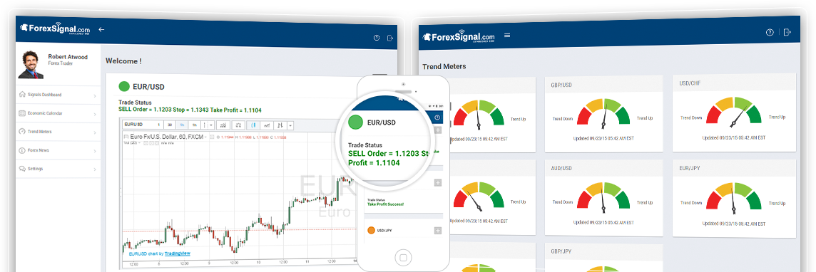 Forex street live streaming best crypto currency day trading site